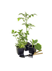 Similar image 7864380