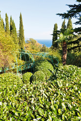 Similar image 7864387