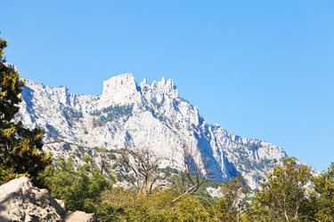 Similar image 7864416