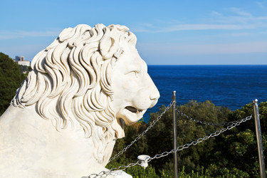 Similar image 7864434