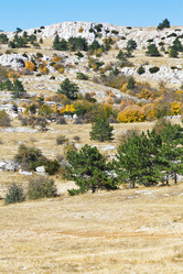 Similar image 7864485