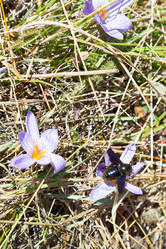 Similar image 7864530