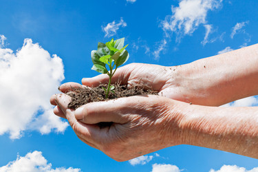 Similar image 7864548