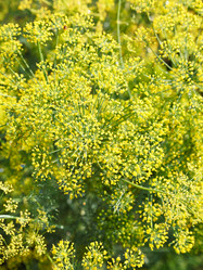 Similar image 7864624