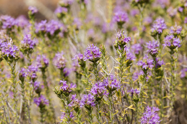 Similar image 7864648