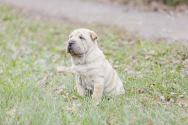 Similar image 7864913