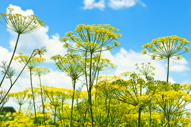 Similar image 7865074