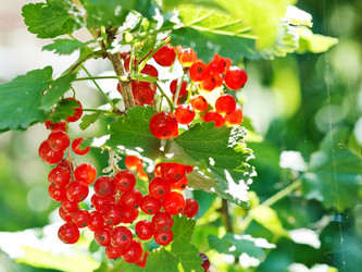 Similar image 7865075