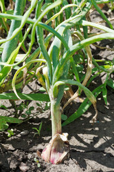 Similar image 7865094