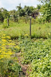 Similar image 7865102