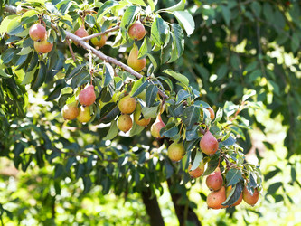 Similar image 7865104