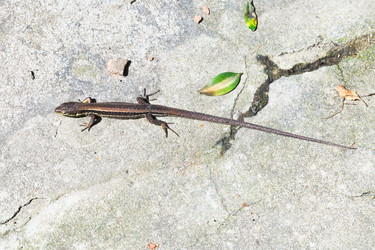 Similar image 7865105