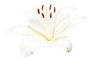 Similar image 7865124