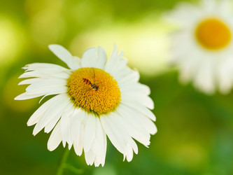 Similar image 7865127