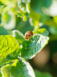 Similar image 7865136