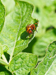 Similar image 7865251