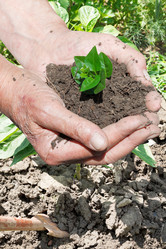 Similar image 7865252