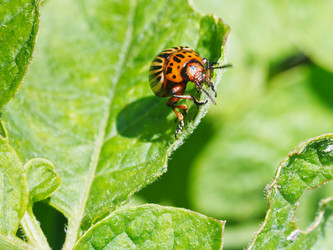 Similar image 7865257