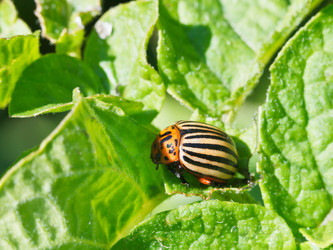 Similar image 7865267