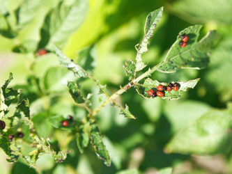 Similar image 7865271