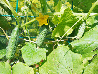 Similar image 7865279