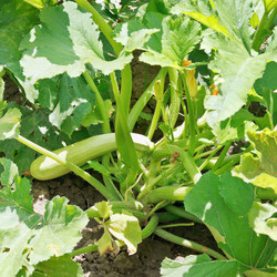 Similar image 7865283