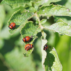 Similar image 7865311