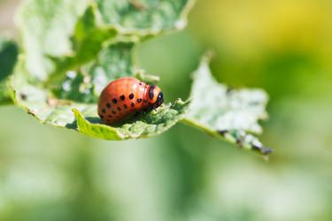 Similar image 7865319