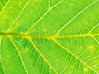 Similar image 7865331