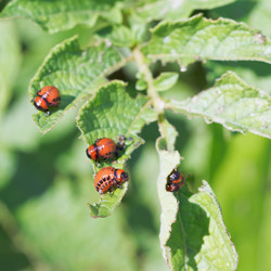 Similar image 7865337