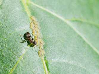 Similar image 7865340