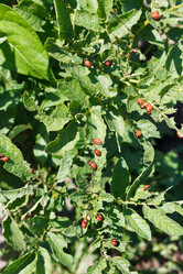 Similar image 7865350