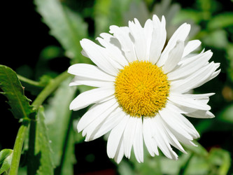 Similar image 7865352