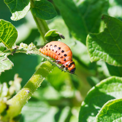 Similar image 7865351