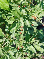 Similar image 7865354