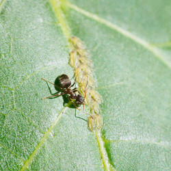 Similar image 7865362