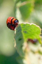 Similar image 7865372