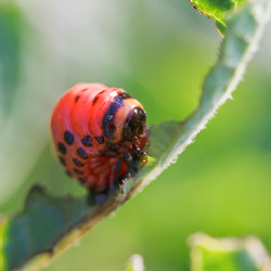 Similar image 7865375