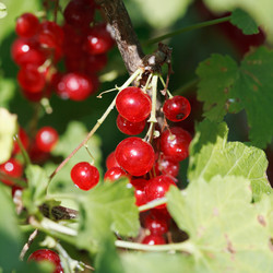 Similar image 7865377