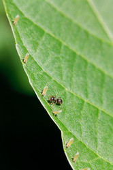 Similar image 7865380