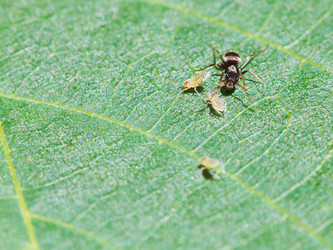 Similar image 7865384