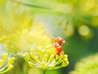 Similar image 7865389