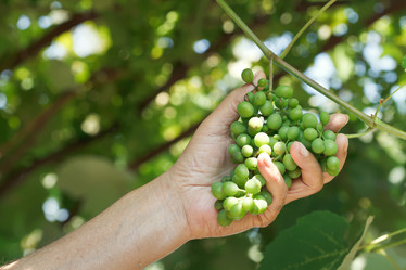 Similar image 7865403