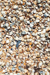 Similar image 7865409