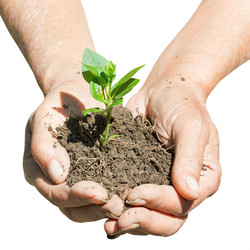 Similar image 7865423