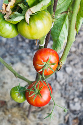 Similar image 7865442