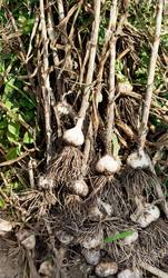 Similar image 7865444