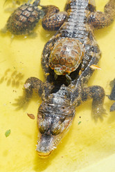 Similar image 7865451