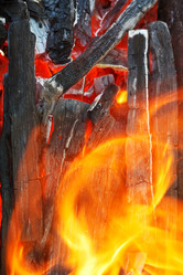 Similar image 7865452