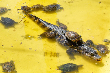 Similar image 7865460